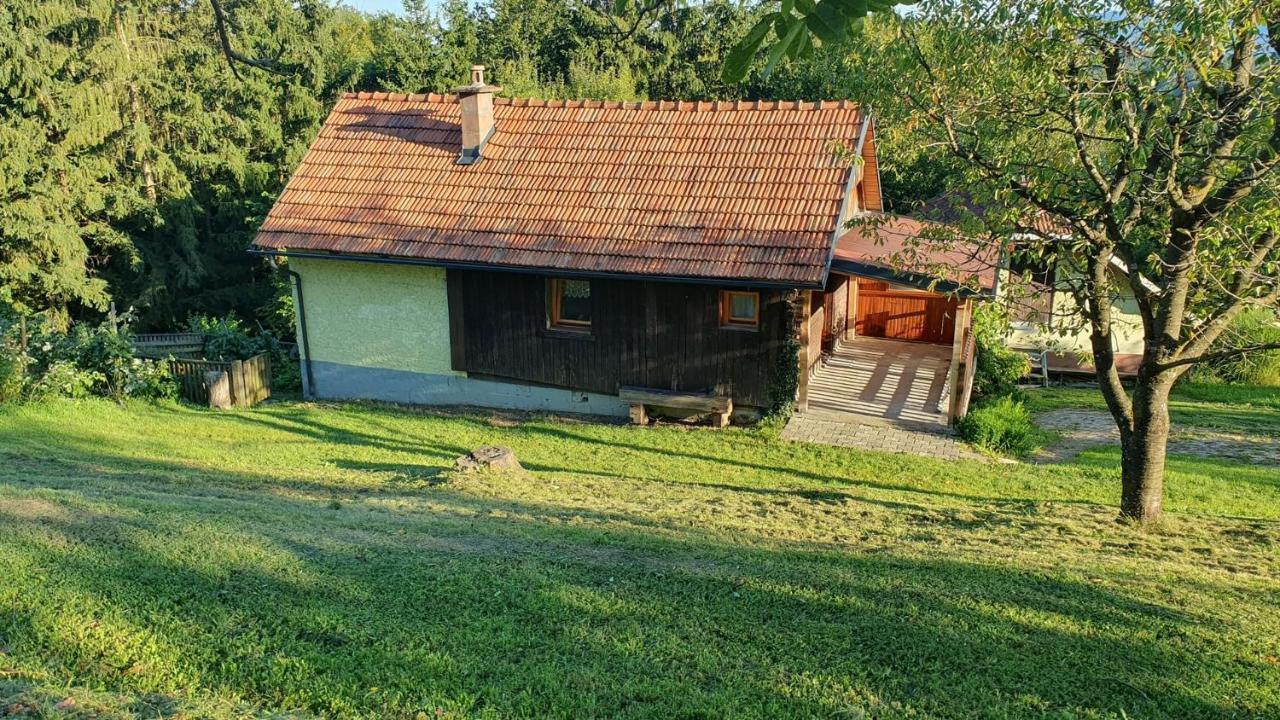Hiska Ob Gozdu Villa Polzela Eksteriør billede